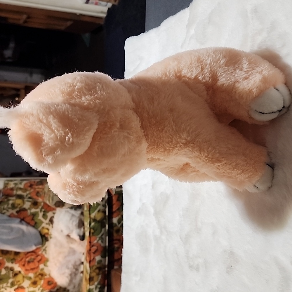 🐖 PIG  STUFFED  TOY - Picture 5 of 8